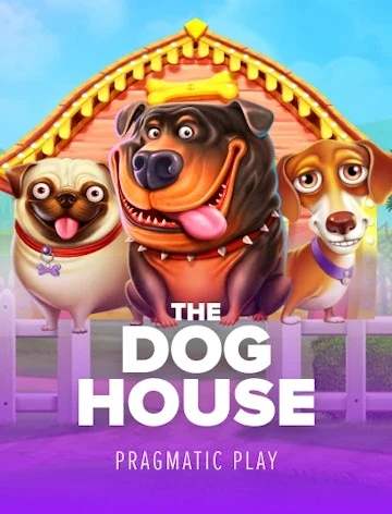 The Dog House slot by Pragmatic Play, RTP 96.5% at Kachingo Casino